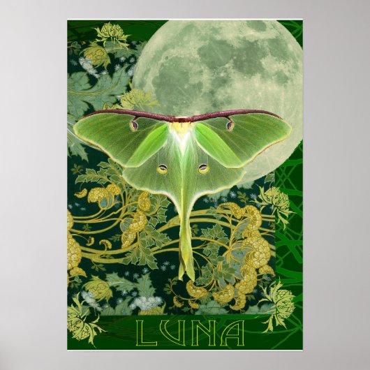 Luna Moth and Moon Poster, Green Nature Collage Poster (Vorne)