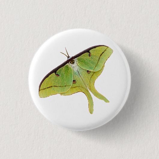 Luna Moth Artwork in lebendiger Farbe Button (Vorderseite)