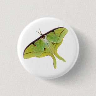Luna Moth Artwork in lebendiger Farbe Button
