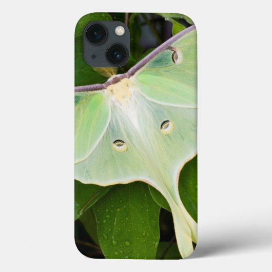 Luna Moth auf Carnaby Clematis Case-Mate iPhone Hülle (Rückseite)