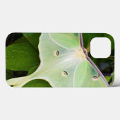 Luna Moth auf Carnaby Clematis Case-Mate iPhone Hülle (Rückseite (Horizontal))