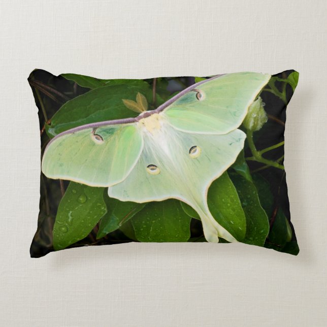 Luna Moth auf Carnaby Clematis Dekokissen (Vorderseite)