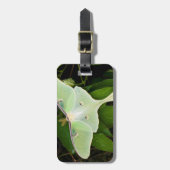 Luna Moth auf Carnaby Clematis Gepäckanhänger (Vorderseite vertikal)
