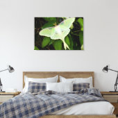 Luna Moth auf Carnaby Clematis Leinwanddruck (Insitu (Schlafzimmer))