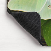 Luna Moth auf Carnaby Clematis Mousepad (Ecke)