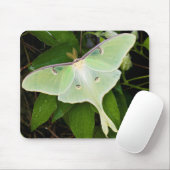 Luna Moth auf Carnaby Clematis Mousepad (Mit Mouse)