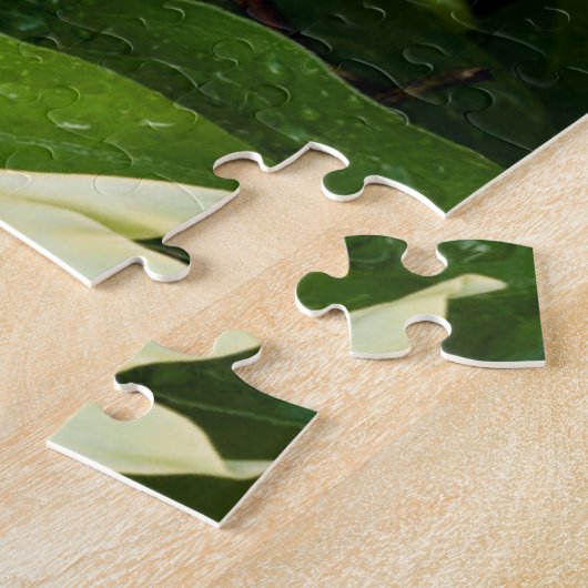 Luna Moth auf Carnaby Clematis Puzzle (Seite)