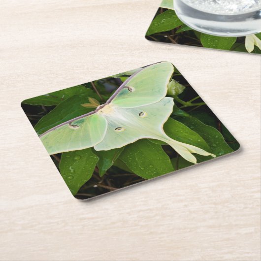 Luna Moth auf Carnaby Clematis Rechteckiger Pappuntersetzer (angewinkelt)