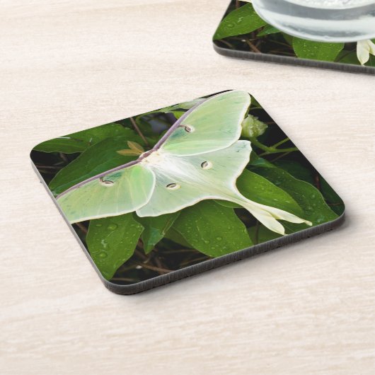 Luna Moth auf Carnaby Clematis Untersetzer (Linke Seite)