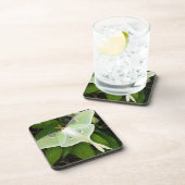 Luna Moth auf Carnaby Clematis Untersetzer (Rechte Seite)