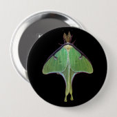 Luna Moth Button (Vorne & Hinten)