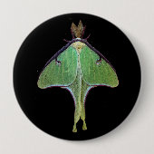 Luna Moth Button (Vorderseite)
