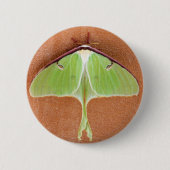 Luna Moth Button Button (Vorderseite)