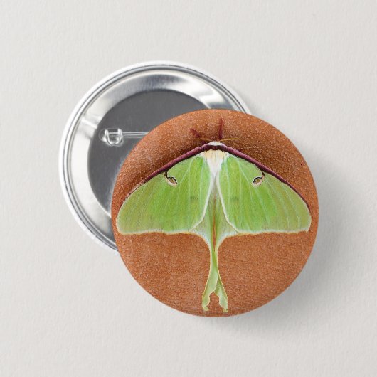 Luna Moth Button Button (Vorne & Hinten)