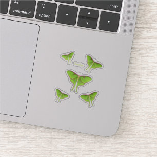 Luna Moth Cartoon Illustration Aufkleber
