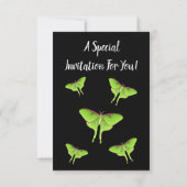 Luna Moth Cartoon Illustration Einladung (Rückseite)