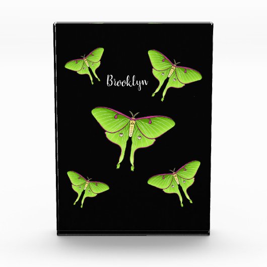 Luna Moth cartoon illustration   Fotoblock (Vorderseite)