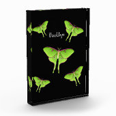 Luna Moth cartoon illustration   Fotoblock (Links)