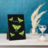 Luna Moth Cartoon Illustration Fotoplatte (Seite)