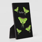 Luna Moth Cartoon Illustration Fotoplatte (Seite)