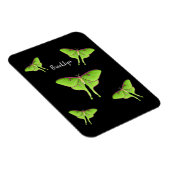 Luna Moth Cartoon Illustration Magnet (Rechte Seite)