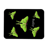 Luna Moth Cartoon Illustration Magnet (Horizontal)