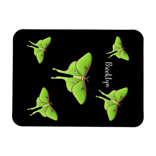 Luna Moth Cartoon Illustration Magnet (Horizontal)
