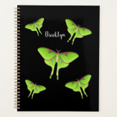 Luna Moth Cartoon Illustration Planer (Vorderseite)