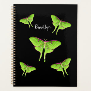 Luna Moth Cartoon Illustration Planer
