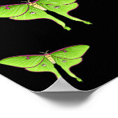 Luna Moth Cartoon Illustration Poster (Ecke)