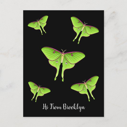 Luna Moth Cartoon Illustration Postkarte (Vorderseite)