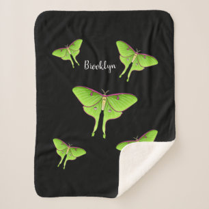 Luna Moth Cartoon Illustration Sherpadecke