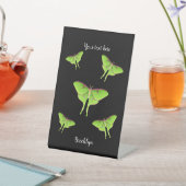 Luna Moth Cartoon Illustration Sockelschild (In SItu)