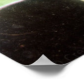 Luna Moth Close-Up Poster (Ecke)