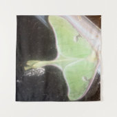 Luna Moth Close-Up Wandteppich (Vorderseite (Horizontal))