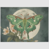 Luna Moth Conservatory Seidenpapier (Vorderseite)