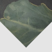 Luna Moth ConservatoryvBotanicals Seidenpapier (Ausschnitt)