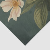 Luna Moth ConservatoryvBotanicals Seidenpapier (Ausschnitt)