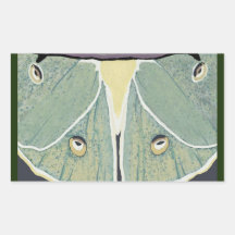 Luna Moth Digital Painting Accent Pillow