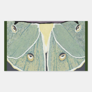 Luna Moth Digital Painting Accent Pillow Rechteckiger Aufkleber