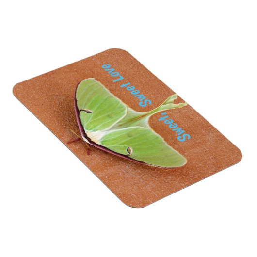 Luna Moth Flexible Magnet (Rechte Seite)