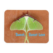 Luna Moth Flexible Magnet (Horizontal)