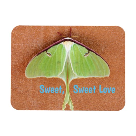 Luna Moth Flexible Magnet (Horizontal)