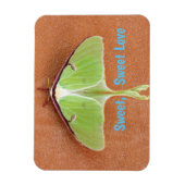 Luna Moth Flexible Magnet (Vertikal)