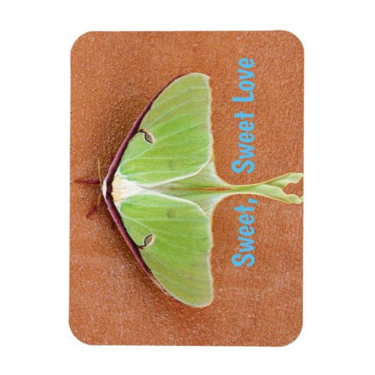 Luna Moth Flexible Magnet (Vertikal)