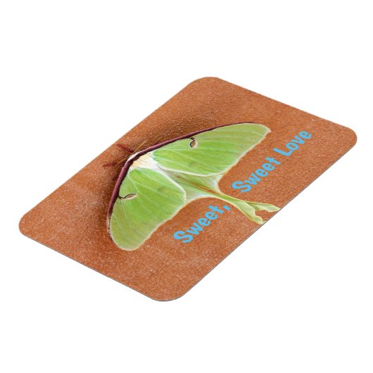 Luna Moth Flexible Magnet (Linke Seite)