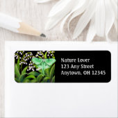 Luna Moth in Lily of the Valley Blume Label (Insitu)