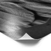 Luna Moth in Schwarz und Weiß Fotodruck (Ecke)