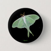Luna Moth Insect Button (Vorderseite)