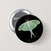 Luna Moth Insect Button (Vorne & Hinten)